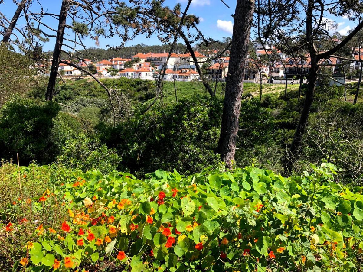 Starfish Beach House São Pedro de Muel Ngoại thất bức ảnh